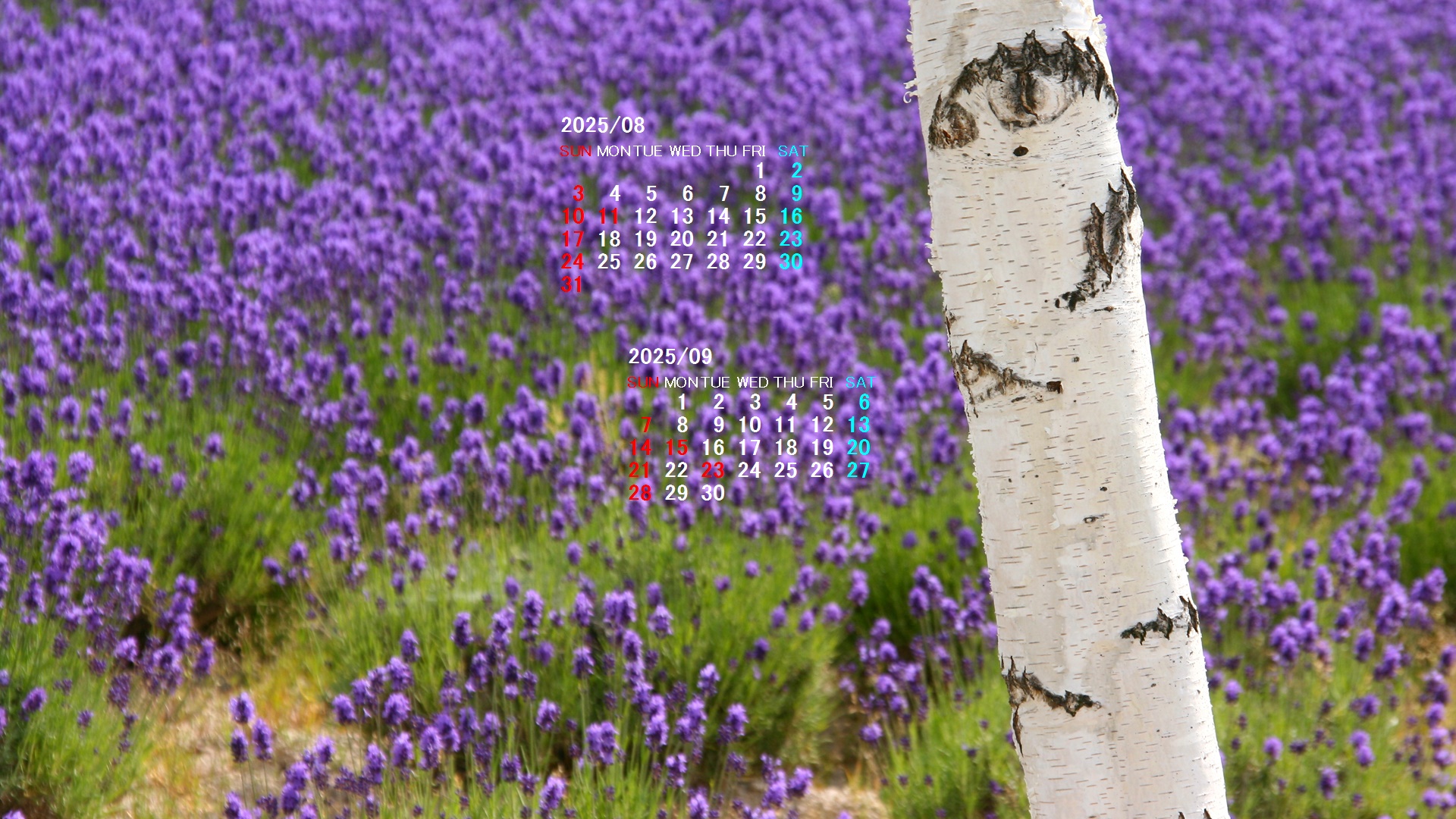 摜̏ŉENbNāuǎɐݒvAj[ɂȂꍇ͂摜ۑĉB