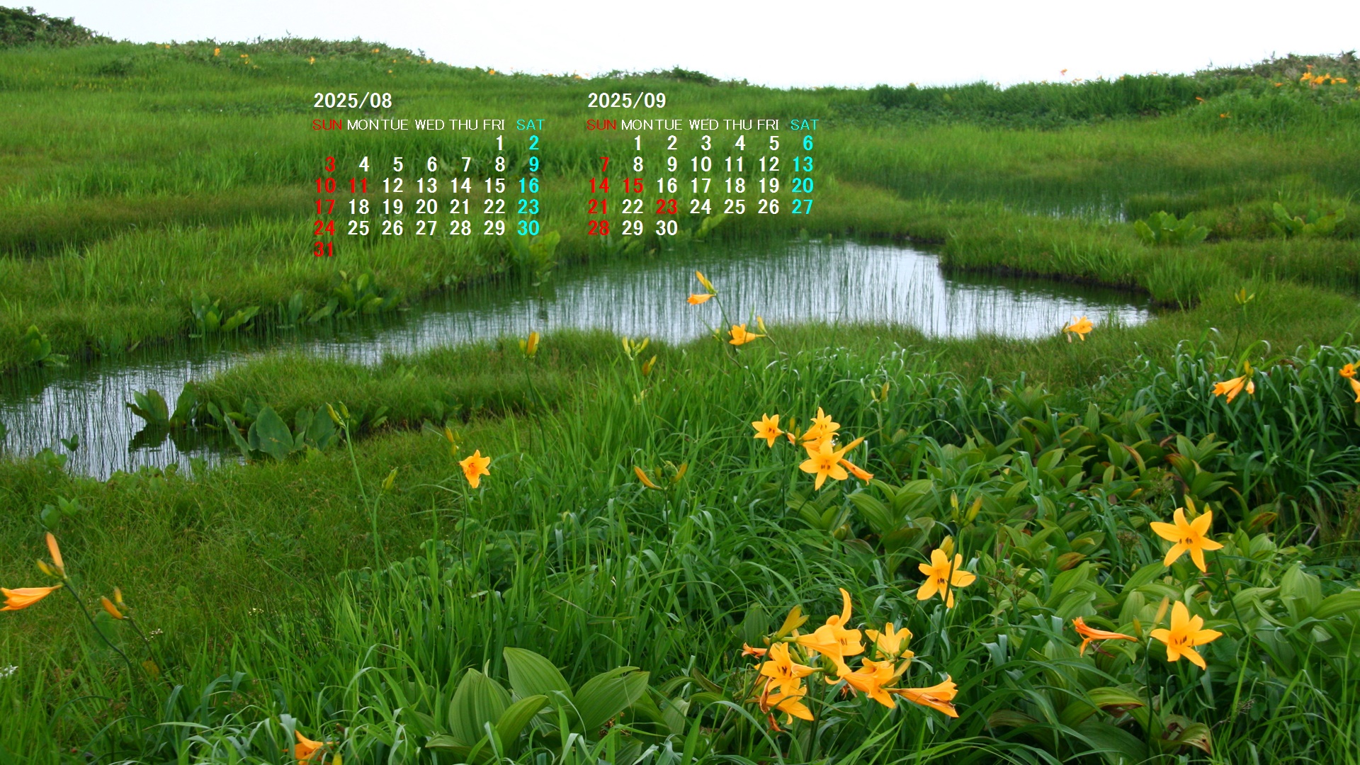摜̏ŉENbNāuǎɐݒvAj[ɂȂꍇ͂摜ۑĉB