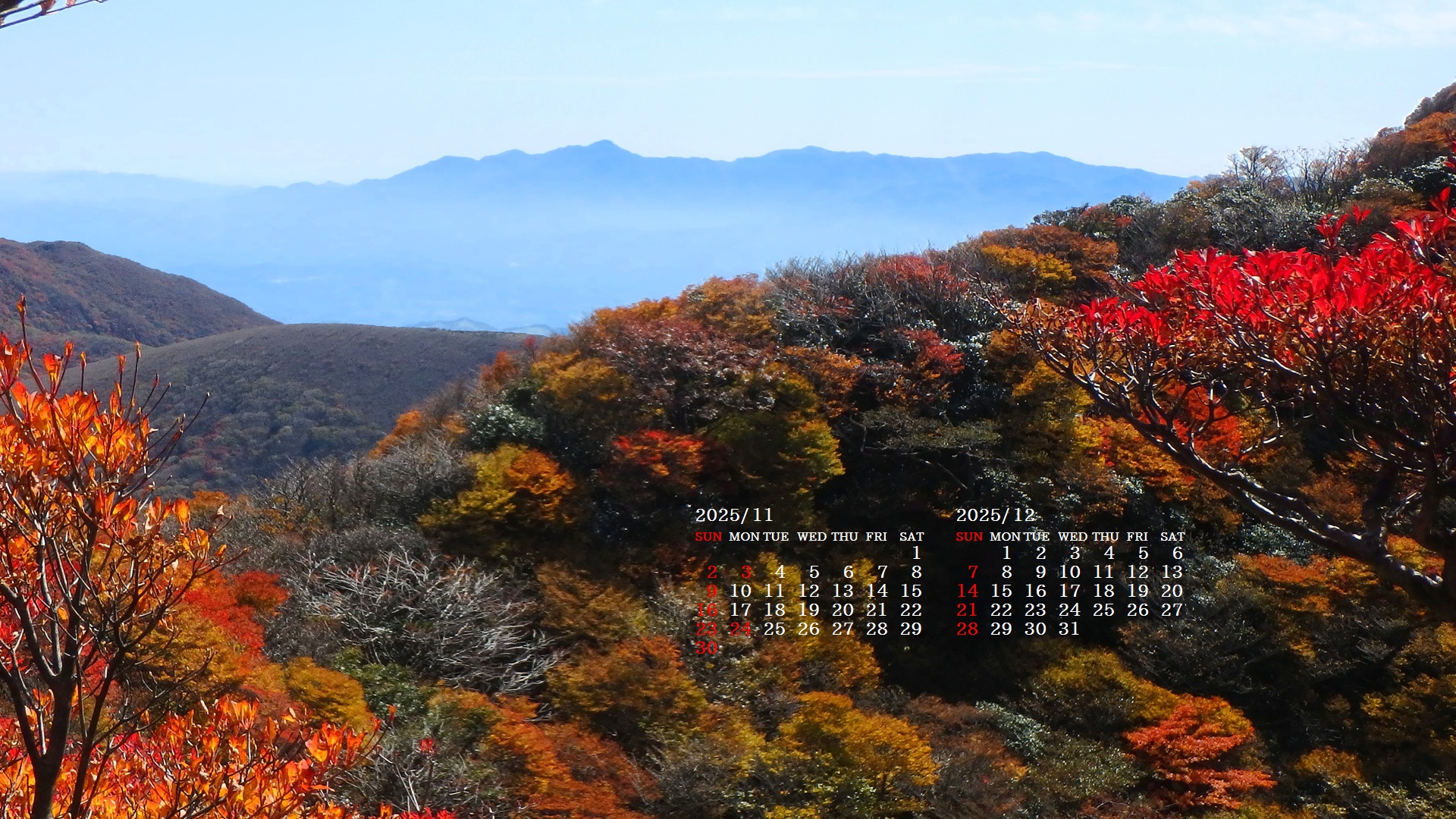 摜̏ŉENbNāuǎɐݒvAj[ɂȂꍇ͂摜ۑĉB