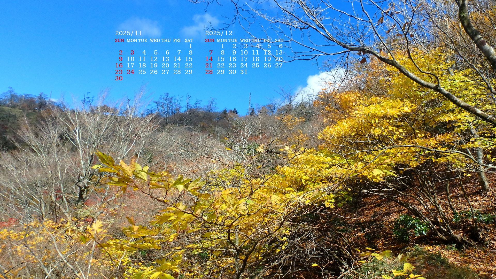 摜̏ŉENbNāuǎɐݒvAj[ɂȂꍇ͂摜ۑĉB