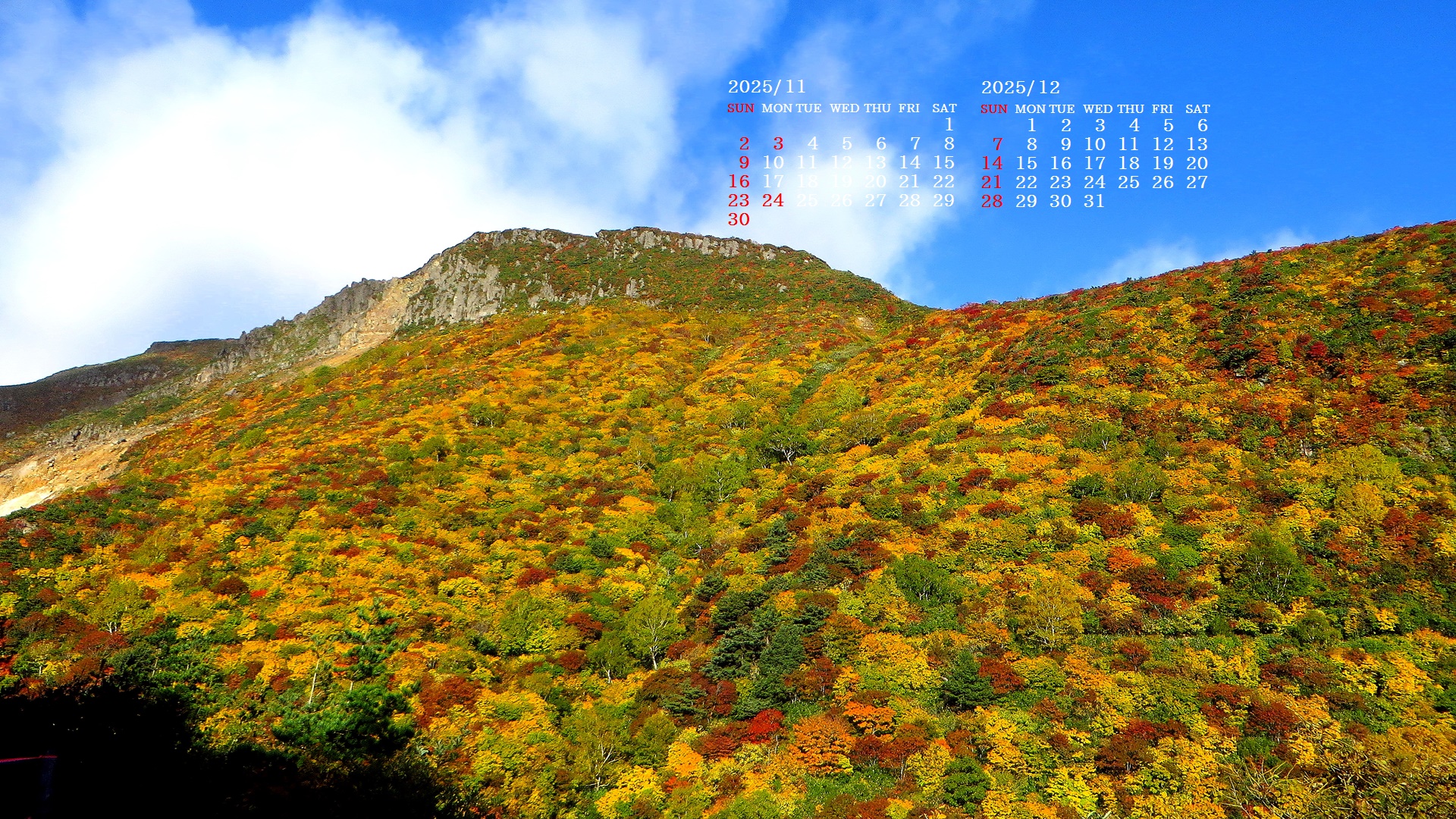 摜̏ŉENbNāuǎɐݒvAj[ɂȂꍇ͂摜ۑĉB