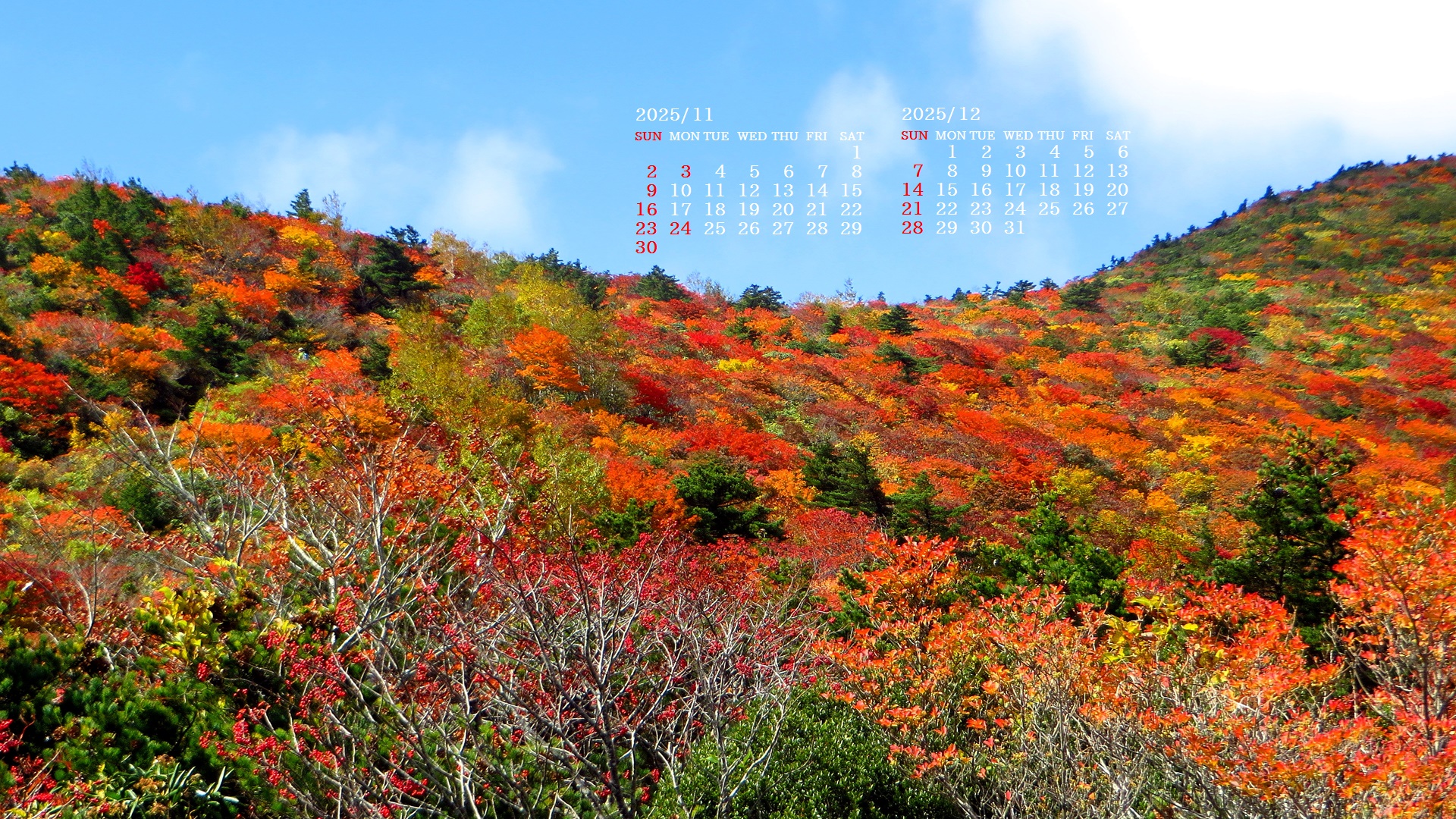 摜̏ŉENbNāuǎɐݒvAj[ɂȂꍇ͂摜ۑĉB