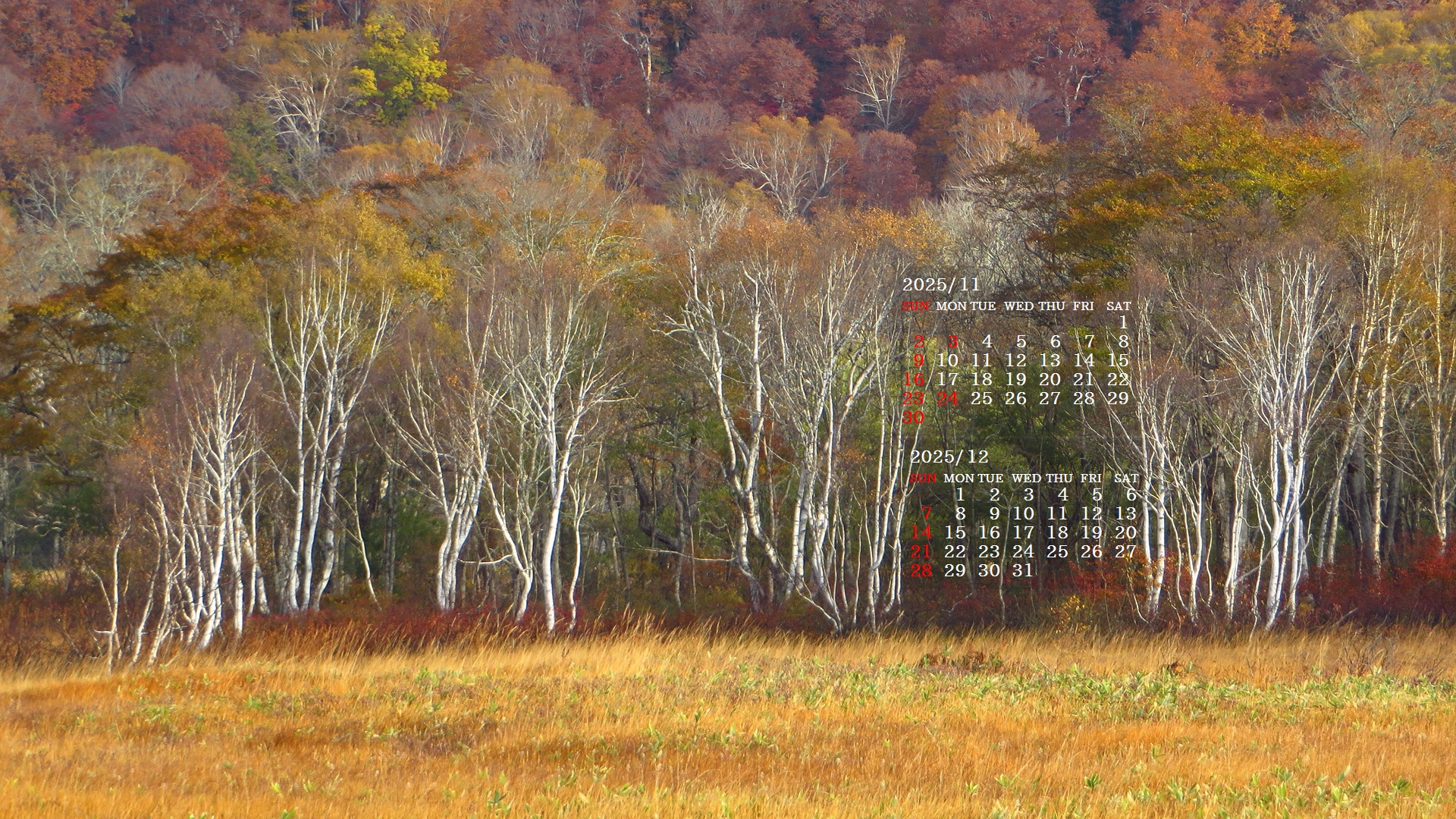 摜̏ŉENbNāuǎɐݒvAj[ɂȂꍇ͂摜ۑĉB