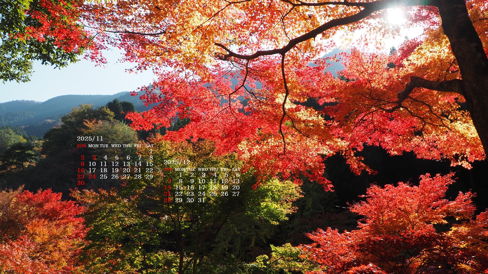 摜̏ŉENbNāuǎɐݒvAj[ɂȂꍇ͂摜ۑĉB