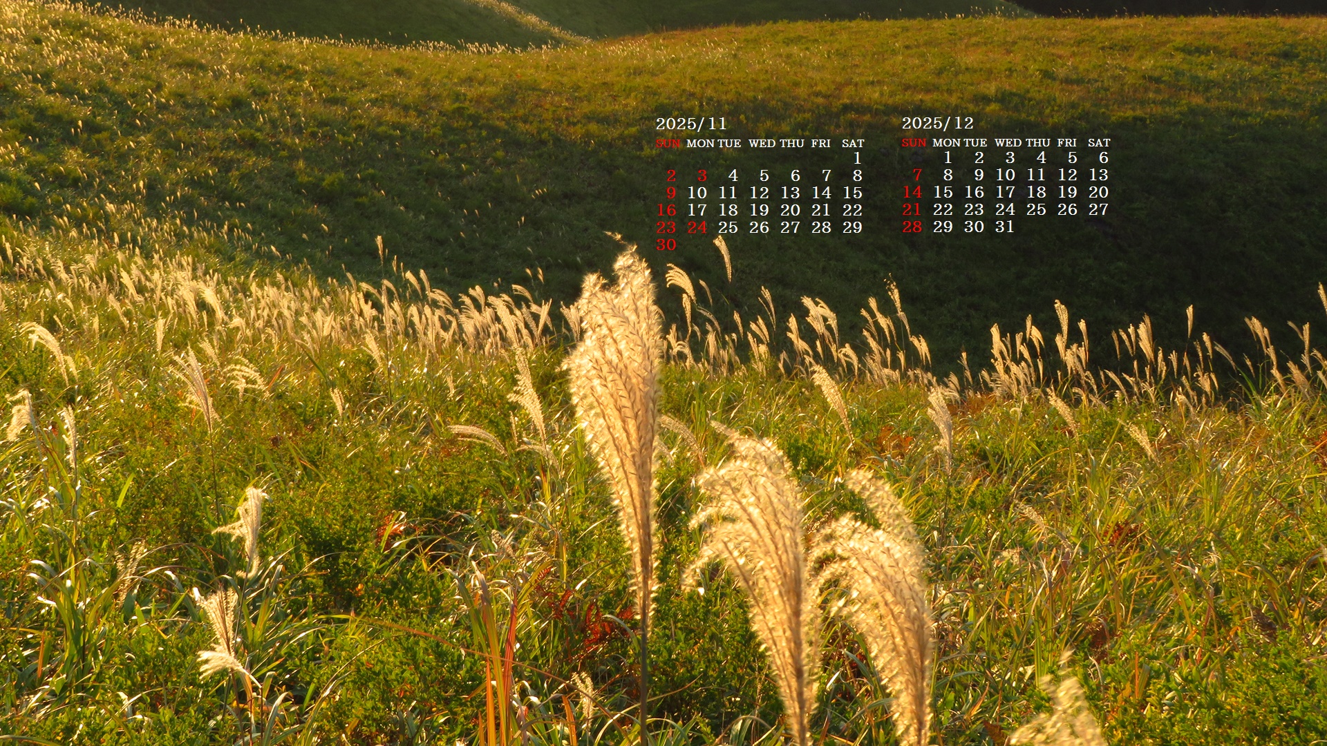 摜̏ŉENbNāuǎɐݒvAj[ɂȂꍇ͂摜ۑĉB