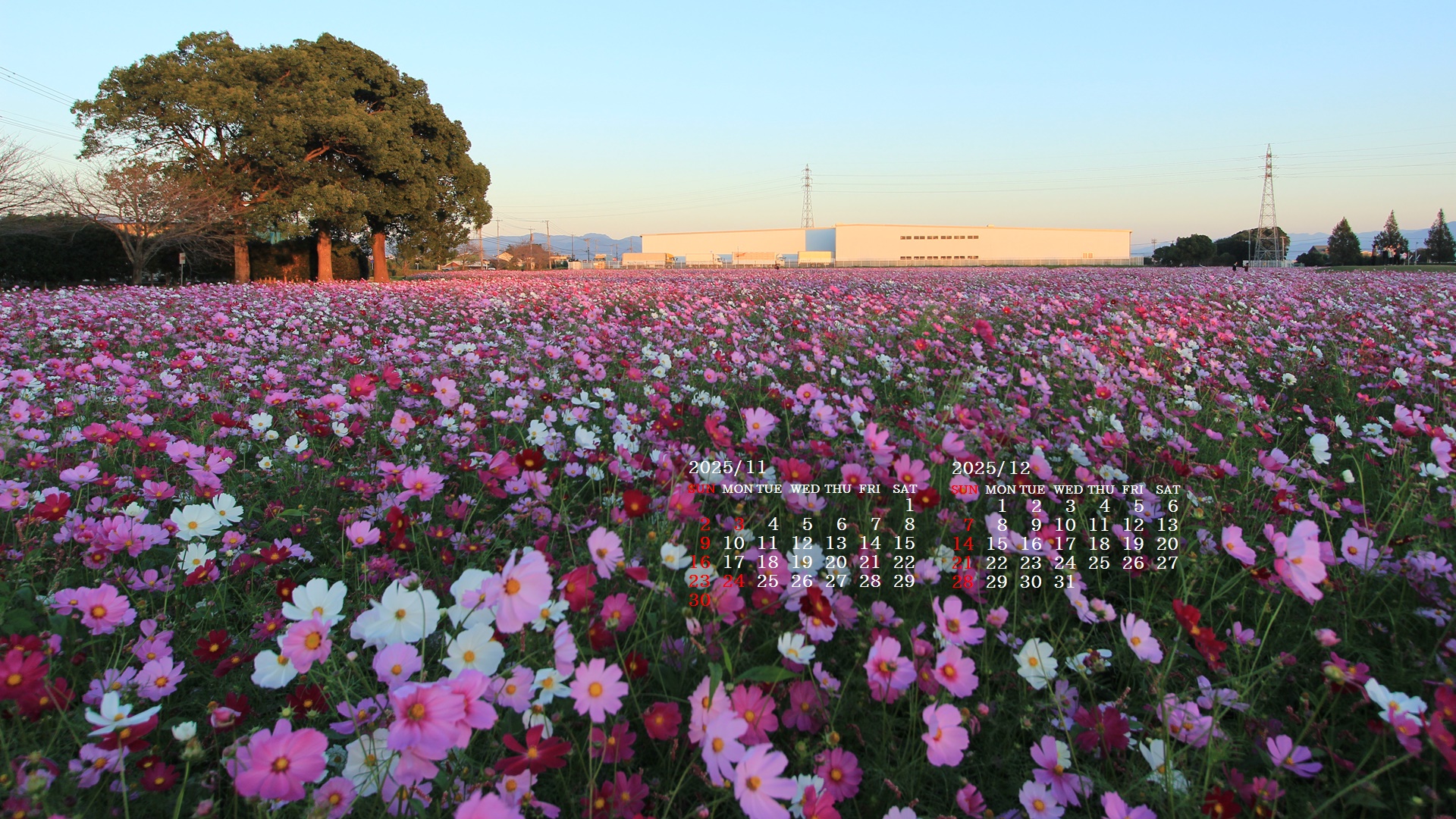 摜̏ŉENbNāuǎɐݒvAj[ɂȂꍇ͂摜ۑĉB