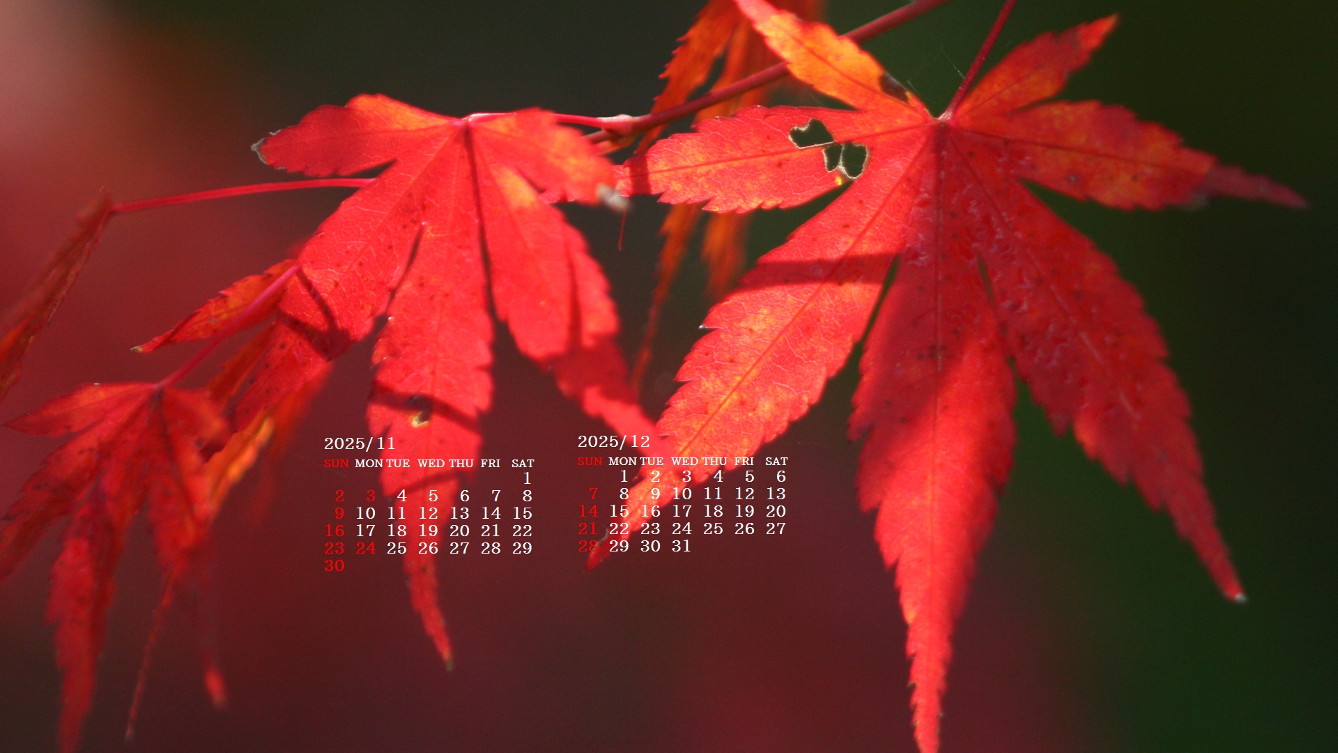 摜̏ŉENbNāuǎɐݒvAj[ɂȂꍇ͂摜ۑĉB