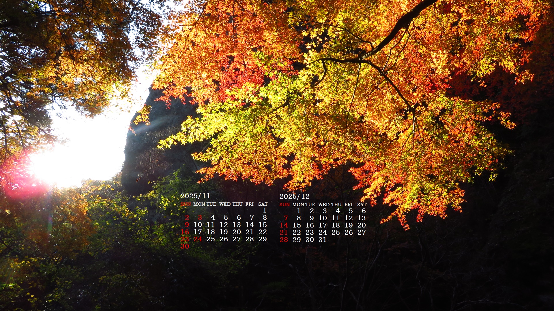 摜̏ŉENbNāuǎɐݒvAj[ɂȂꍇ͂摜ۑĉB