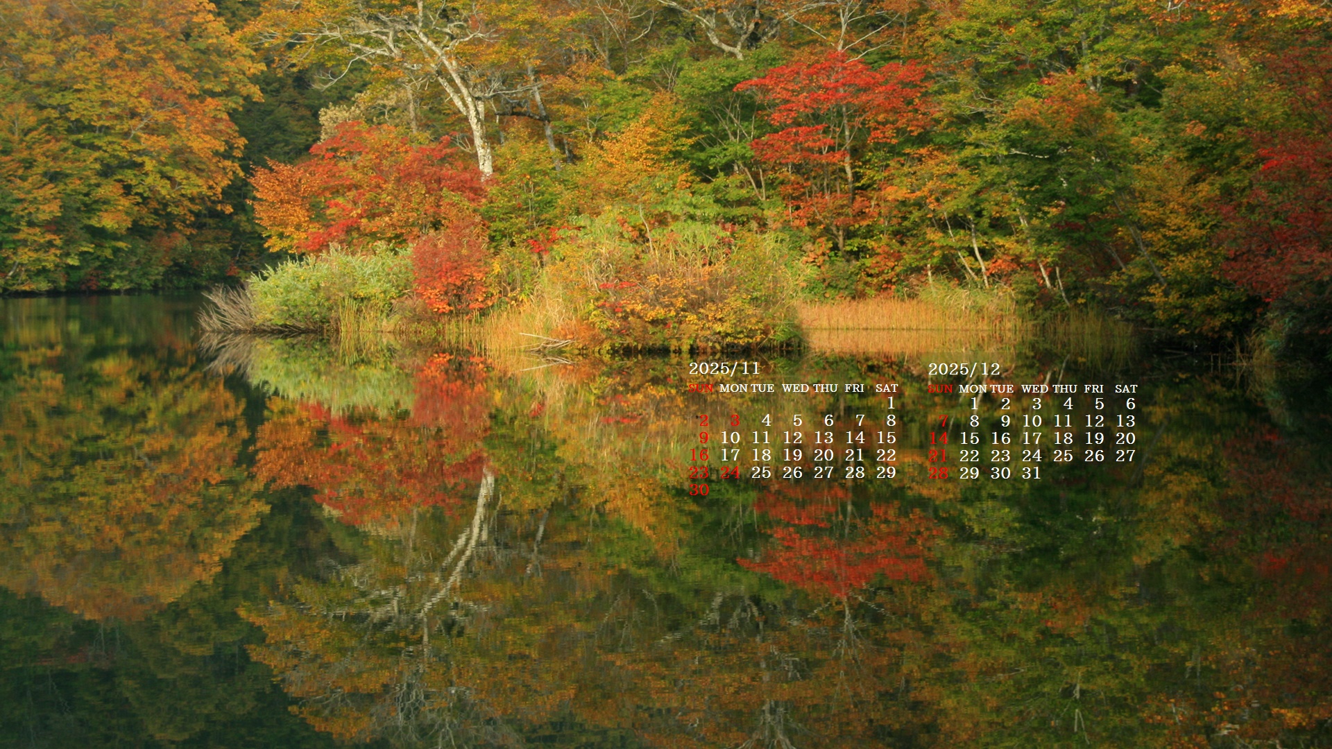 摜̏ŉENbNāuǎɐݒvAj[ɂȂꍇ͂摜ۑĉB