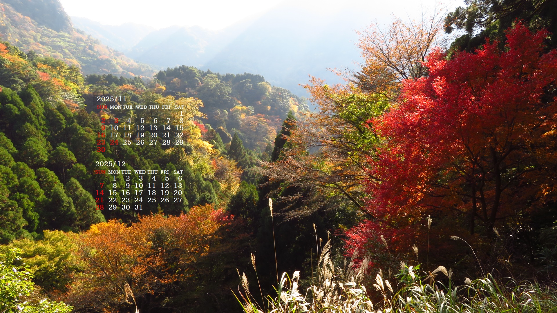 摜̏ŉENbNāuǎɐݒvAj[ɂȂꍇ͂摜ۑĉB