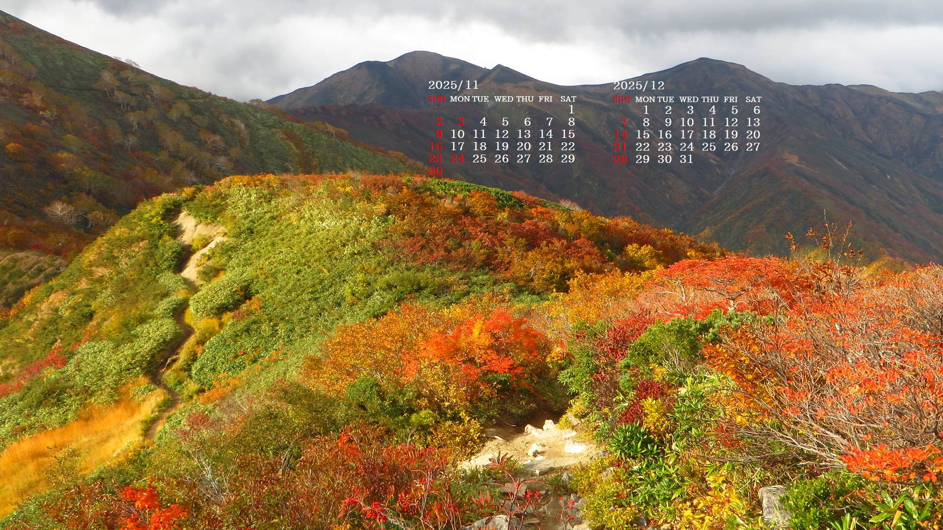 摜̏ŉENbNāuǎɐݒvAj[ɂȂꍇ͂摜ۑĉB