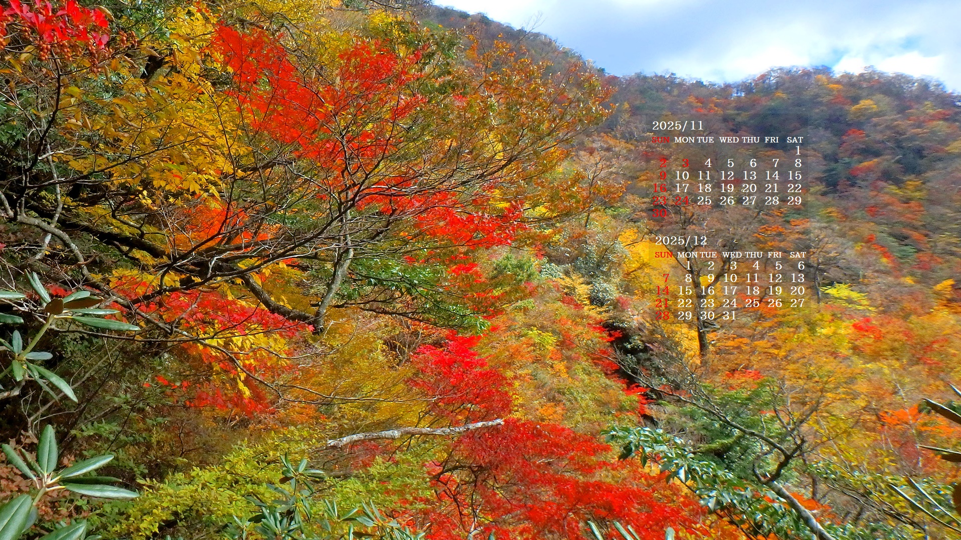 摜̏ŉENbNāuǎɐݒvAj[ɂȂꍇ͂摜ۑĉB