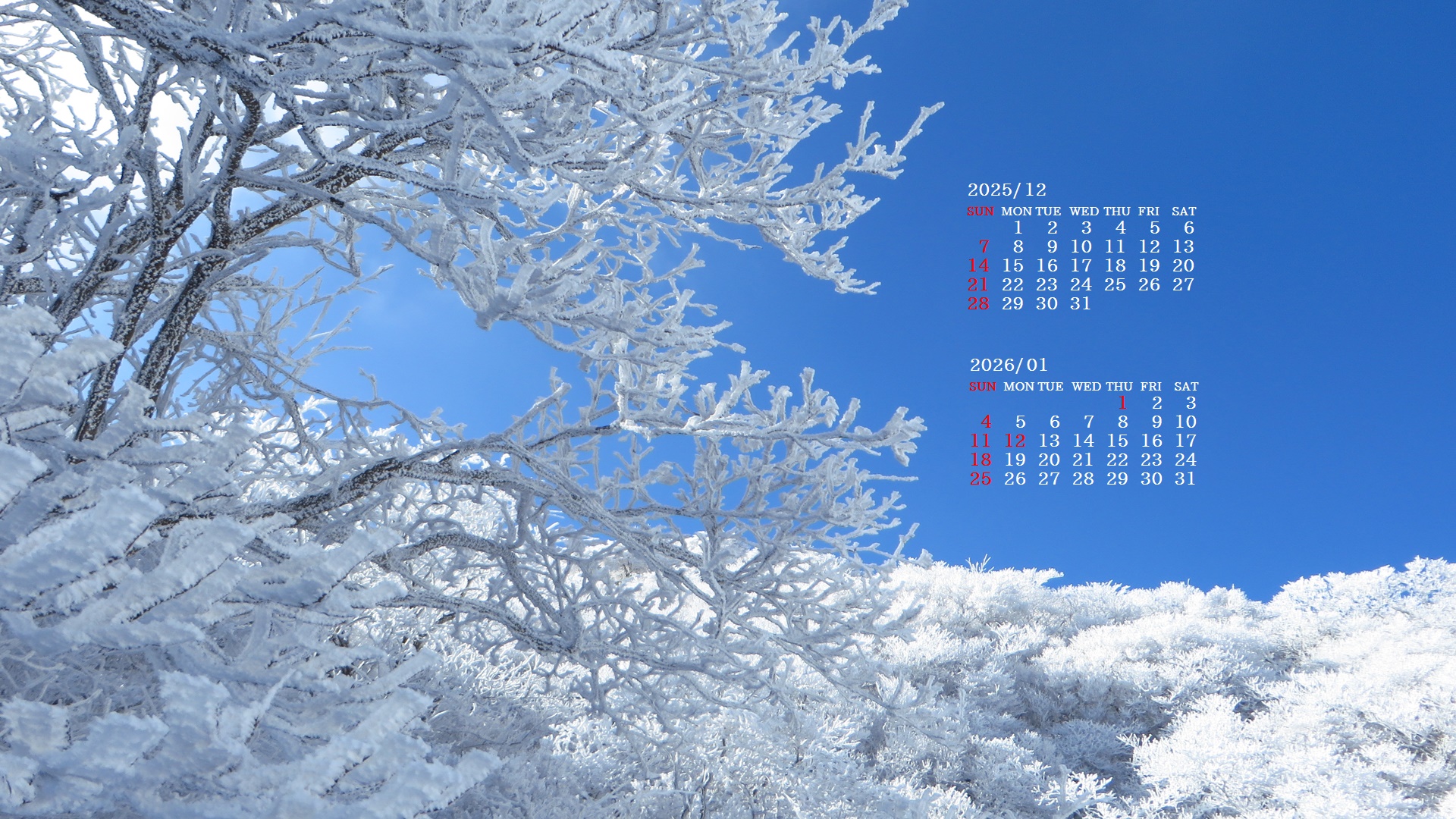 �摜�̏�ŉE�N���b�N���āu�ǎ��ɐݒ�v�A���j���[�ɂȂ��ꍇ�͂�������摜��ۑ����ĉ������B