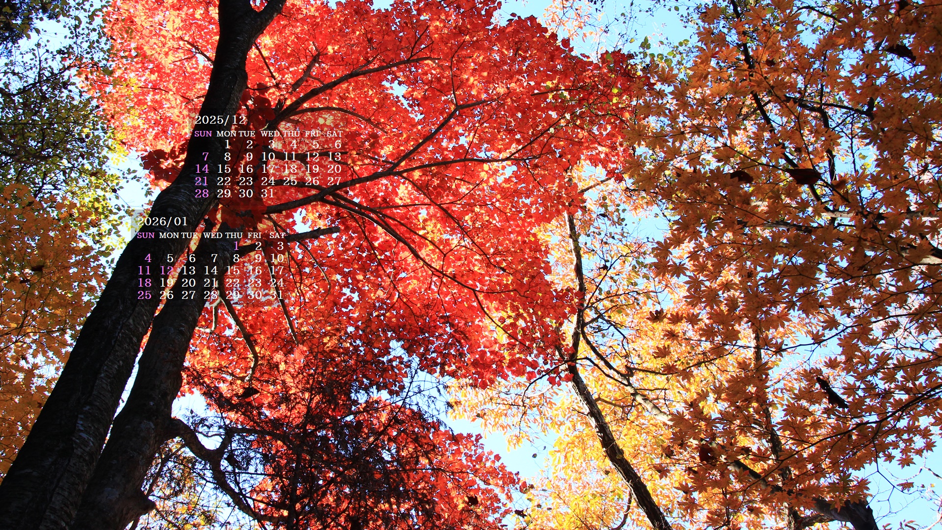 �摜�̏�ŉE�N���b�N���āu�ǎ��ɐݒ�v�A���j���[�ɂȂ��ꍇ�͂�������摜��ۑ����ĉ������B