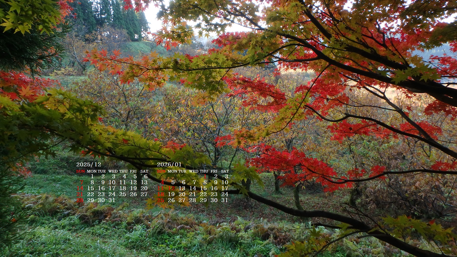 �摜�̏�ŉE�N���b�N���āu�ǎ��ɐݒ�v�A���j���[�ɂȂ��ꍇ�͂�������摜��ۑ����ĉ������B