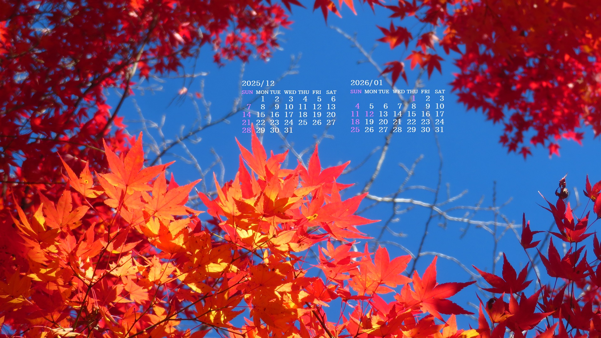 �摜�̏�ŉE�N���b�N���āu�ǎ��ɐݒ�v�A���j���[�ɂȂ��ꍇ�͂�������摜��ۑ����ĉ������B