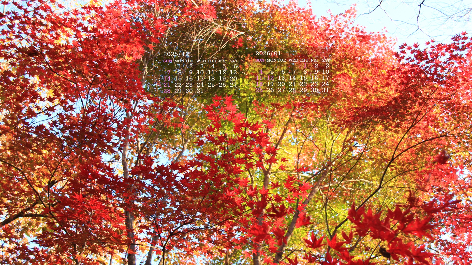 �摜�̏�ŉE�N���b�N���āu�ǎ��ɐݒ�v�A���j���[�ɂȂ��ꍇ�͂�������摜��ۑ����ĉ������B