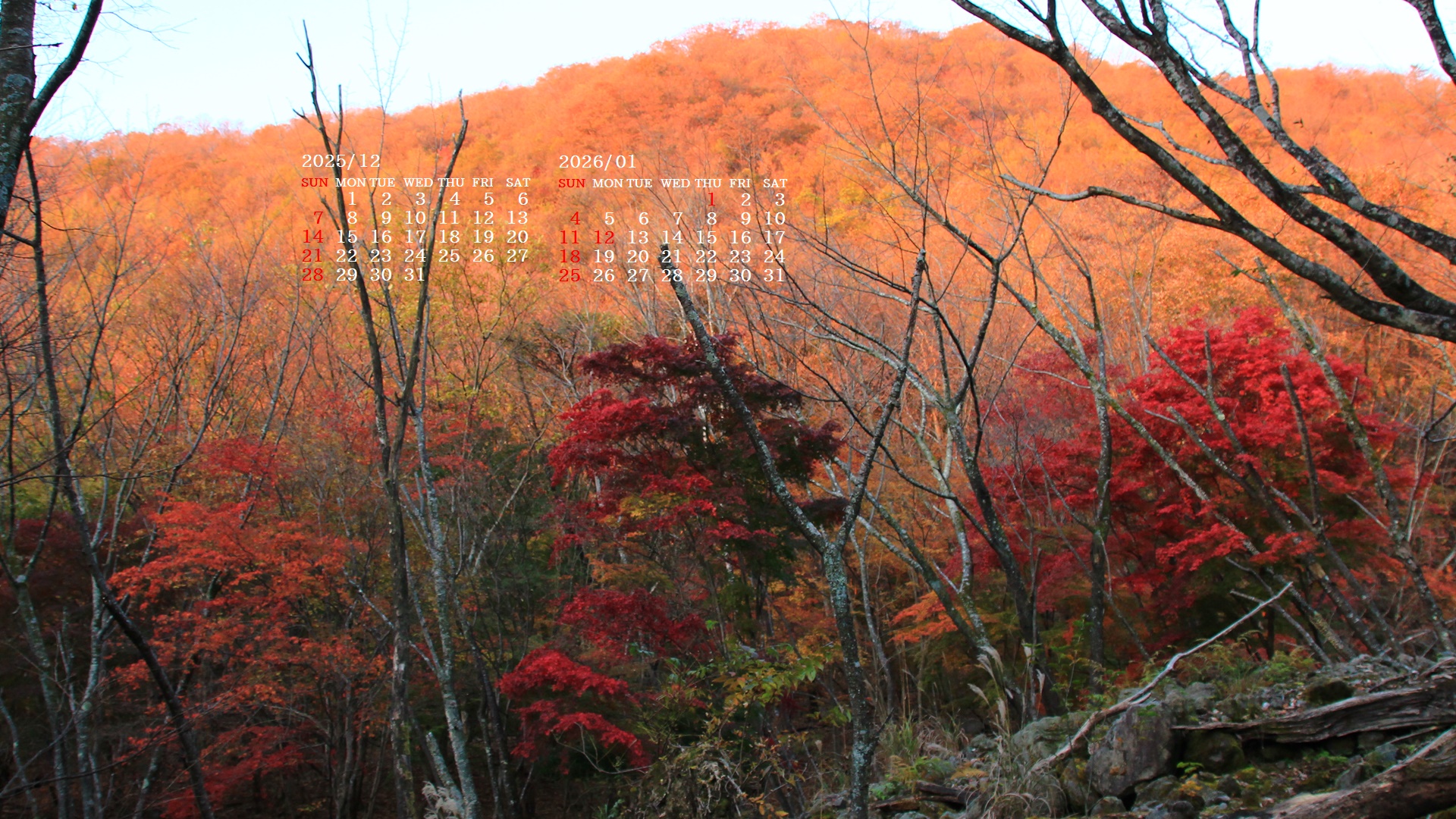 �摜�̏�ŉE�N���b�N���āu�ǎ��ɐݒ�v�A���j���[�ɂȂ��ꍇ�͂�������摜��ۑ����ĉ������B