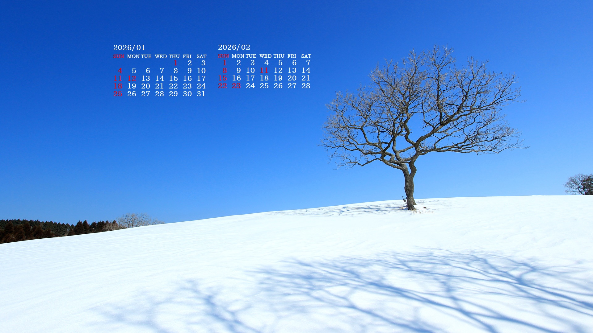 �摜�̏�ŉE�N���b�N���āu�ǎ��ɐݒ�v�A���j���[�ɂȂ��ꍇ�͂�������摜��ۑ����ĉ������B