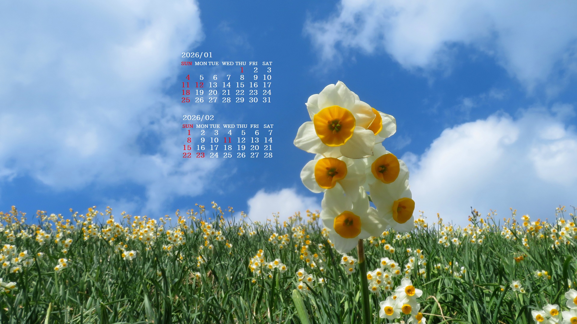 �摜�̏�ŉE�N���b�N���āu�ǎ��ɐݒ�v�A���j���[�ɂȂ��ꍇ�͂�������摜��ۑ����ĉ������B