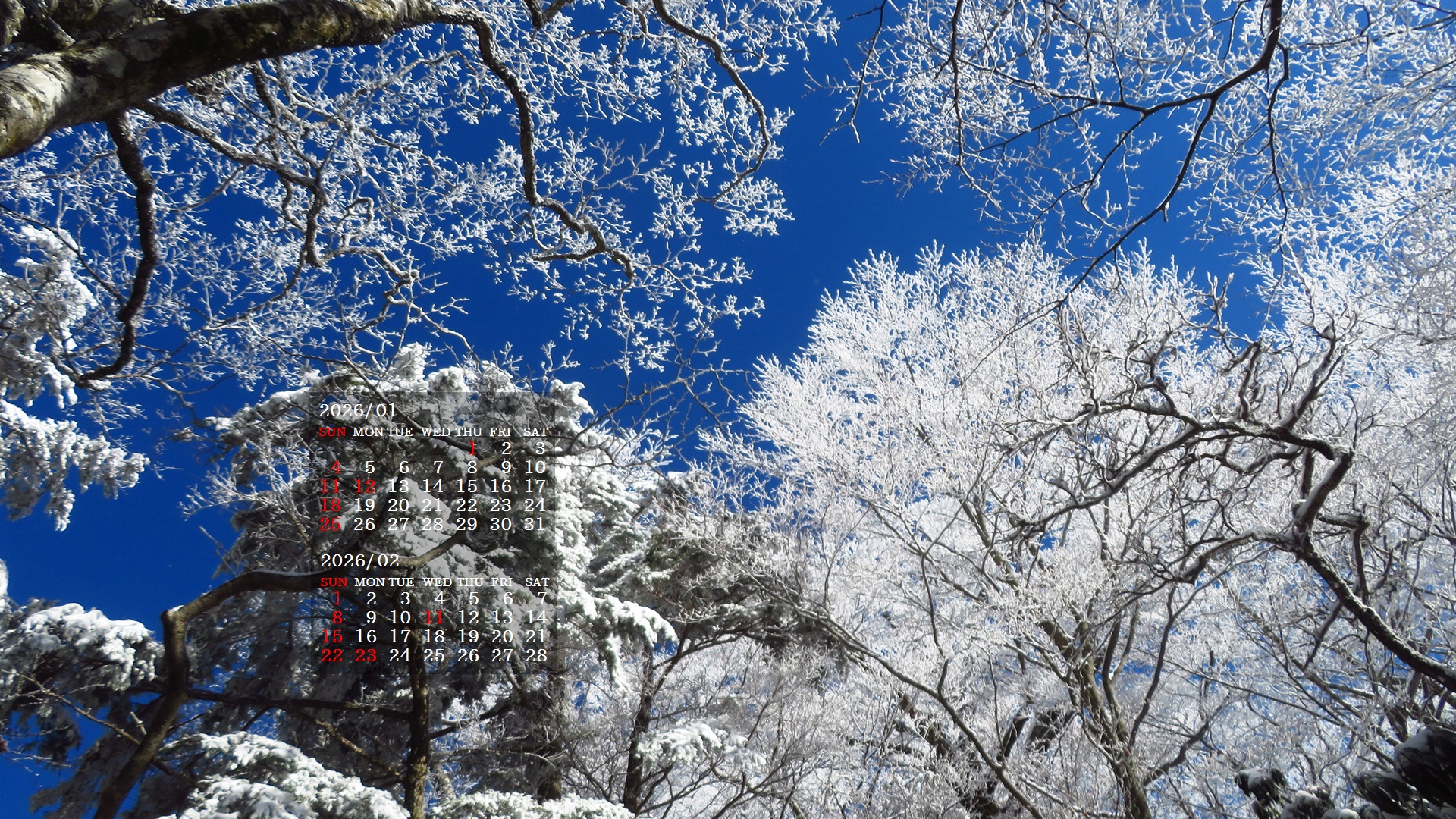 �摜�̏�ŉE�N���b�N���āu�ǎ��ɐݒ�v�A���j���[�ɂȂ��ꍇ�͂�������摜��ۑ����ĉ������B