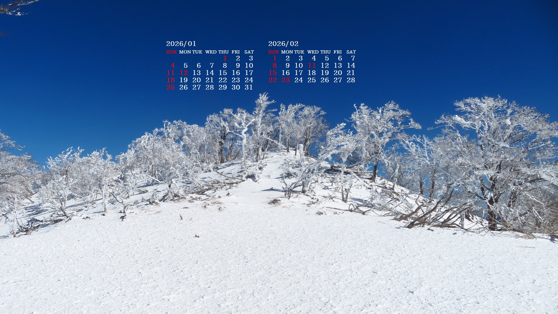 �摜�̏�ŉE�N���b�N���āu�ǎ��ɐݒ�v�A���j���[�ɂȂ��ꍇ�͂�������摜��ۑ����ĉ������B