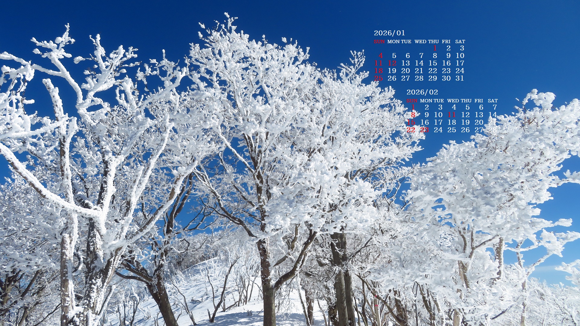 �摜�̏�ŉE�N���b�N���āu�ǎ��ɐݒ�v�A���j���[�ɂȂ��ꍇ�͂�������摜��ۑ����ĉ������B