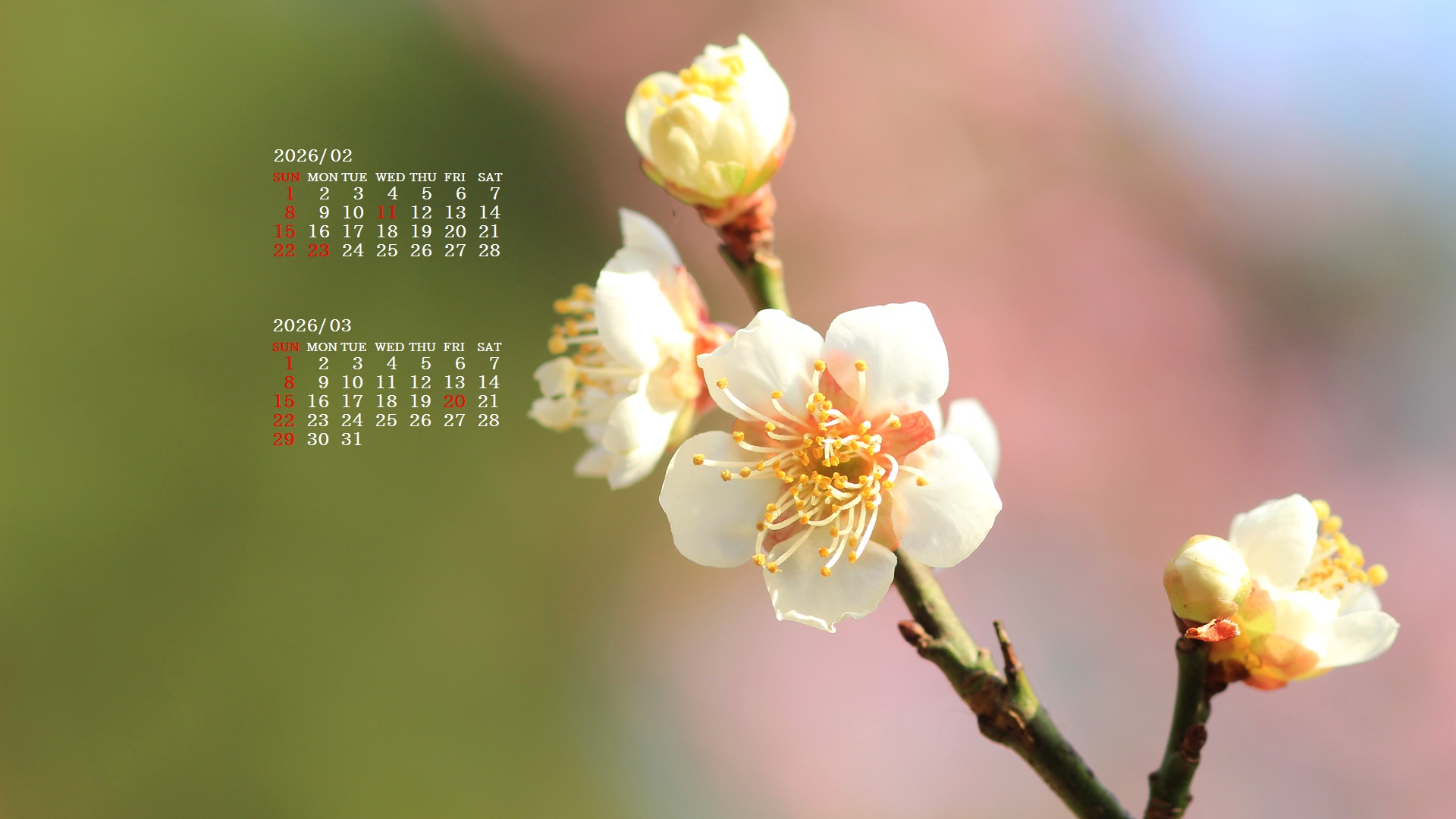 �摜�̏�ŉE�N���b�N���āu�ǎ��ɐݒ�v�A���j���[�ɂȂ��ꍇ�͂�������摜��ۑ����ĉ������B