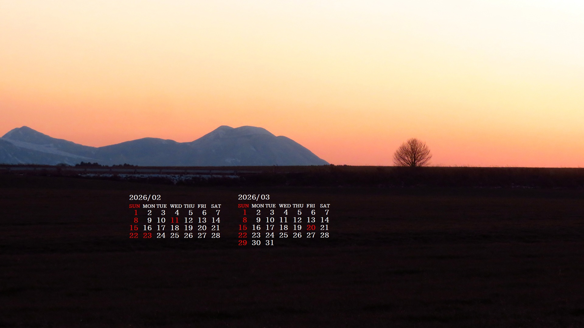 �摜�̏�ŉE�N���b�N���āu�ǎ��ɐݒ�v�A���j���[�ɂȂ��ꍇ�͂�������摜��ۑ����ĉ������B