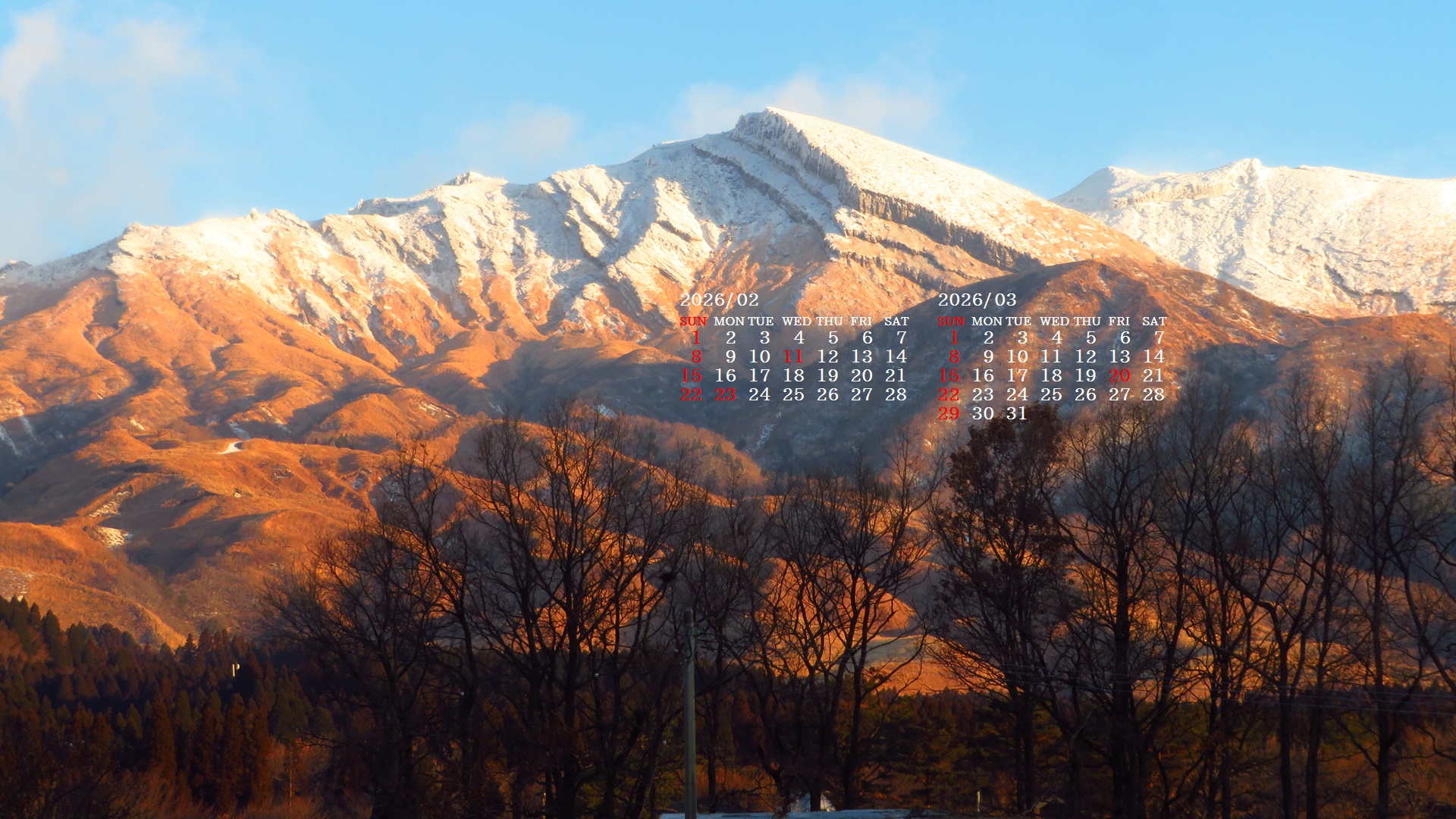 �摜�̏�ŉE�N���b�N���āu�ǎ��ɐݒ�v�A���j���[�ɂȂ��ꍇ�͂�������摜��ۑ����ĉ������B