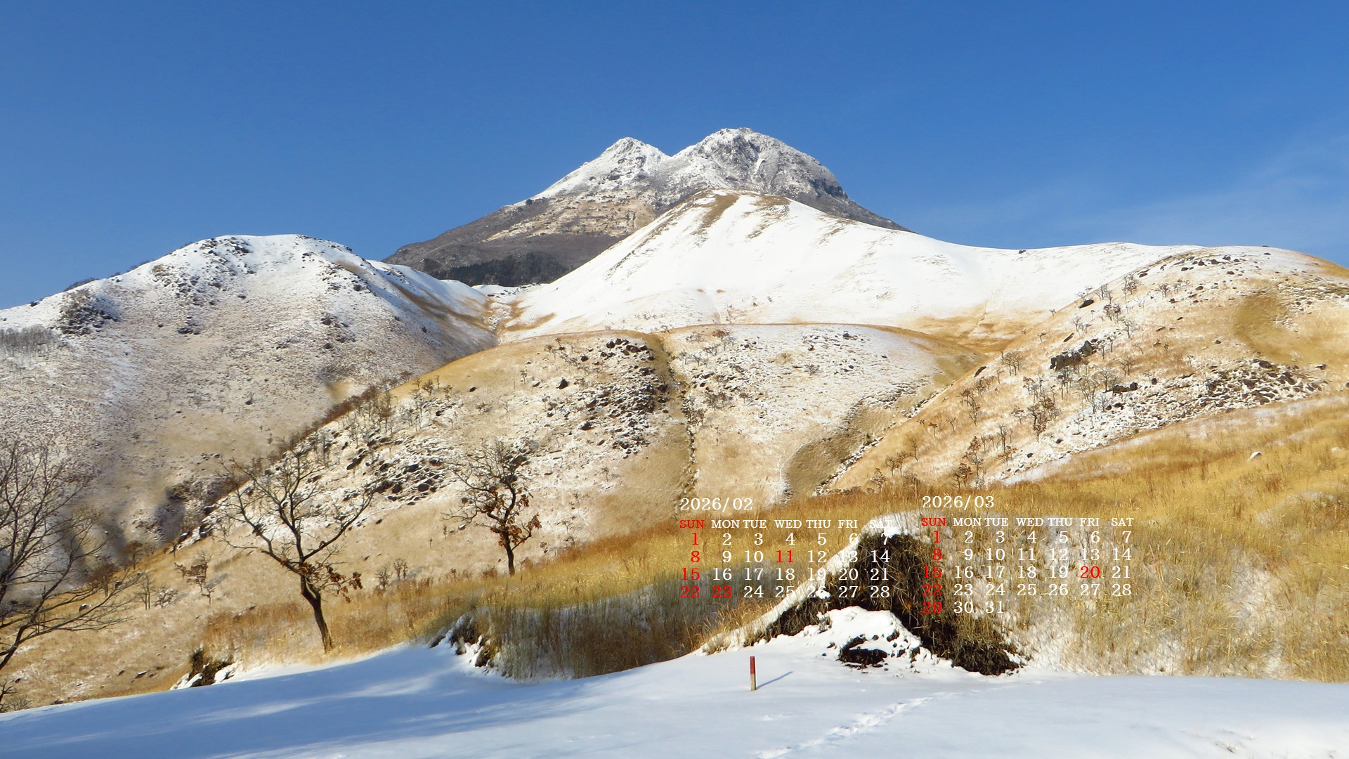 �摜�̏�ŉE�N���b�N���āu�ǎ��ɐݒ�v�A���j���[�ɂȂ��ꍇ�͂�������摜��ۑ����ĉ������B