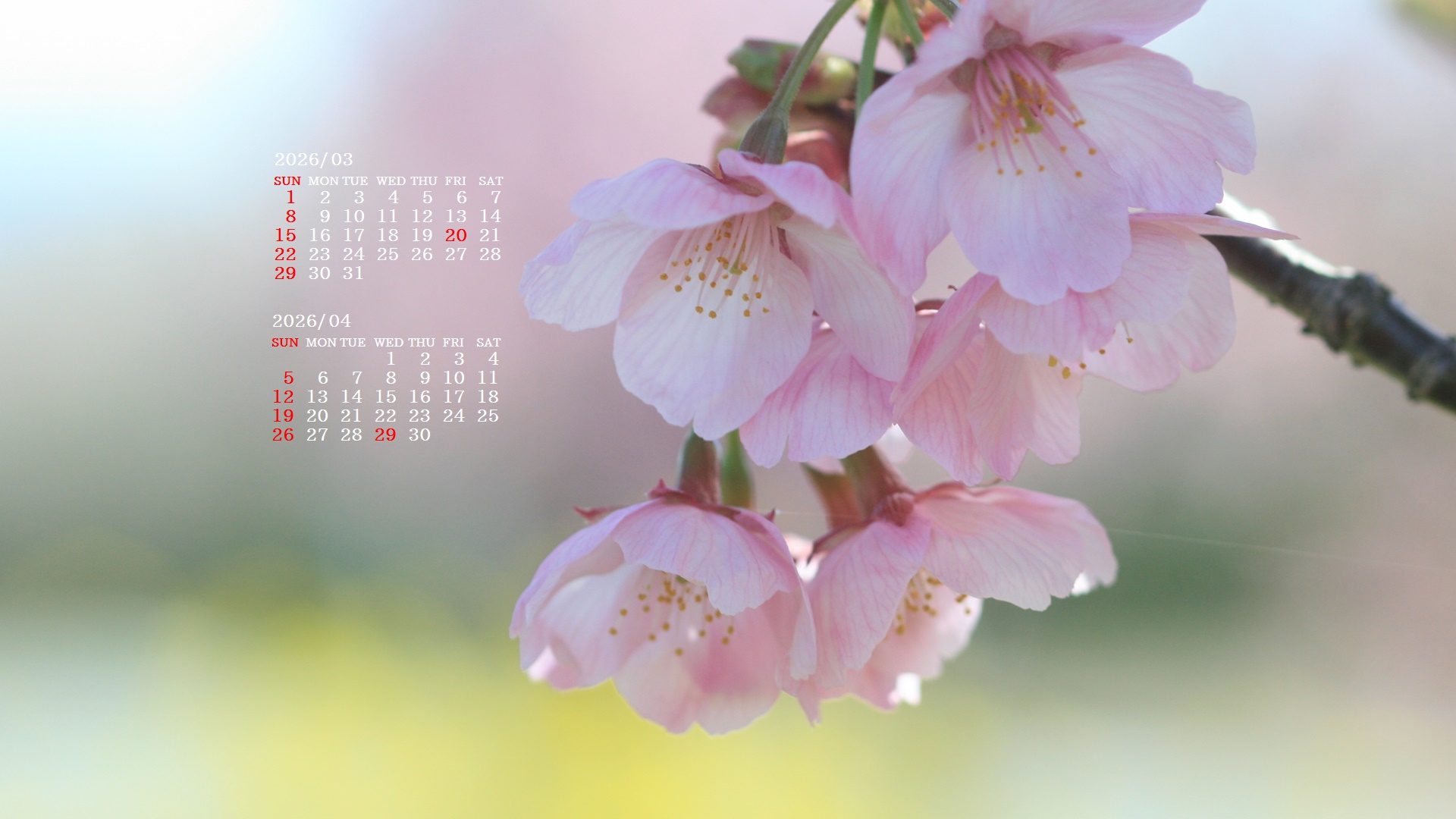 �摜�̏�ŉE�N���b�N���āu�ǎ��ɐݒ�v�A���j���[�ɂȂ��ꍇ�͂�������摜��ۑ����ĉ������B