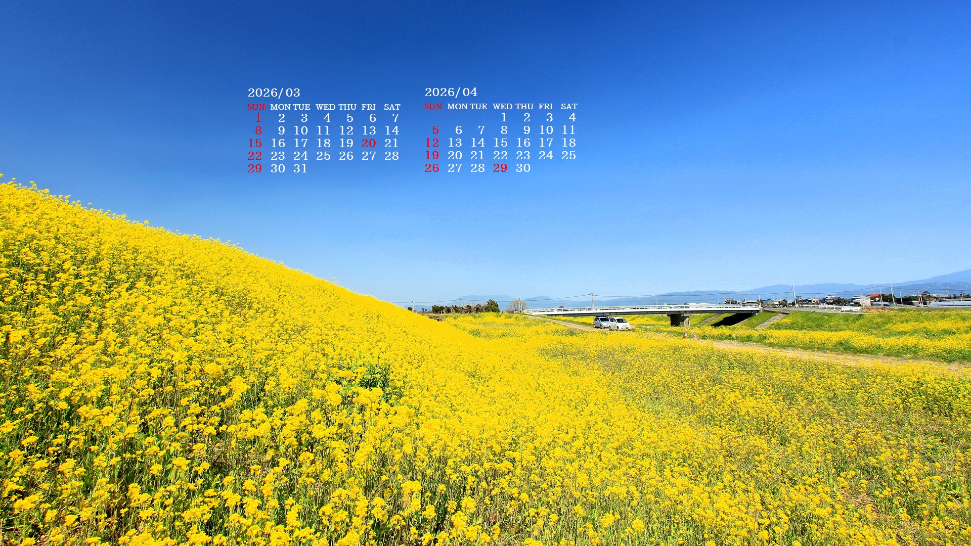 �摜�̏�ŉE�N���b�N���āu�ǎ��ɐݒ�v�A���j���[�ɂȂ��ꍇ�͂�������摜��ۑ����ĉ������B