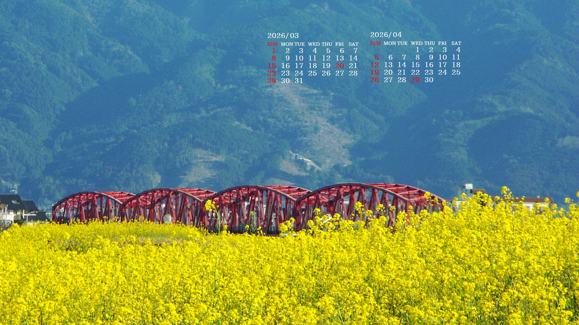 �摜�̏�ŉE�N���b�N���āu�ǎ��ɐݒ�v�A���j���[�ɂȂ��ꍇ�͂�������摜��ۑ����ĉ������B