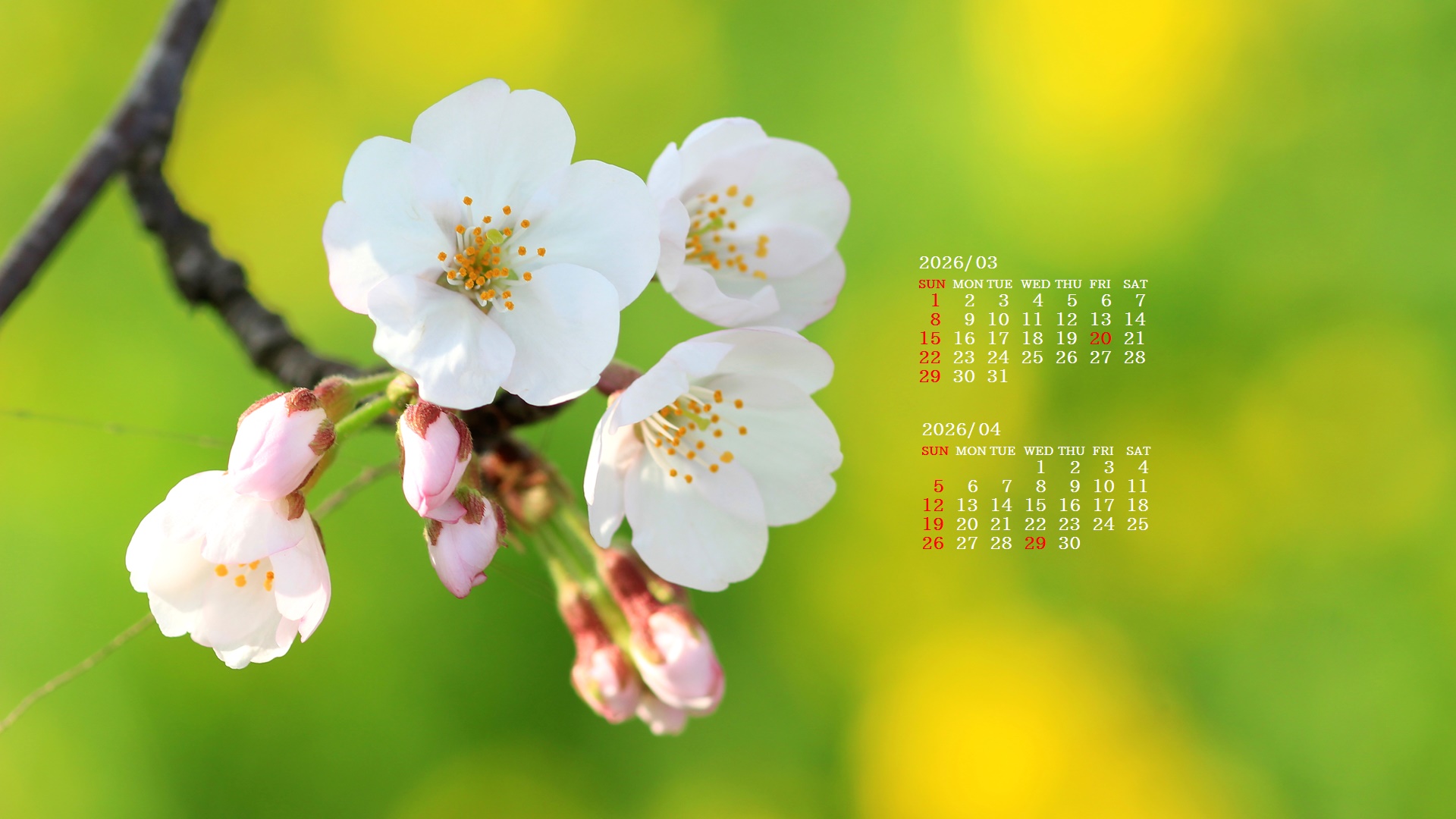 �摜�̏�ŉE�N���b�N���āu�ǎ��ɐݒ�v�A���j���[�ɂȂ��ꍇ�͂�������摜��ۑ����ĉ������B