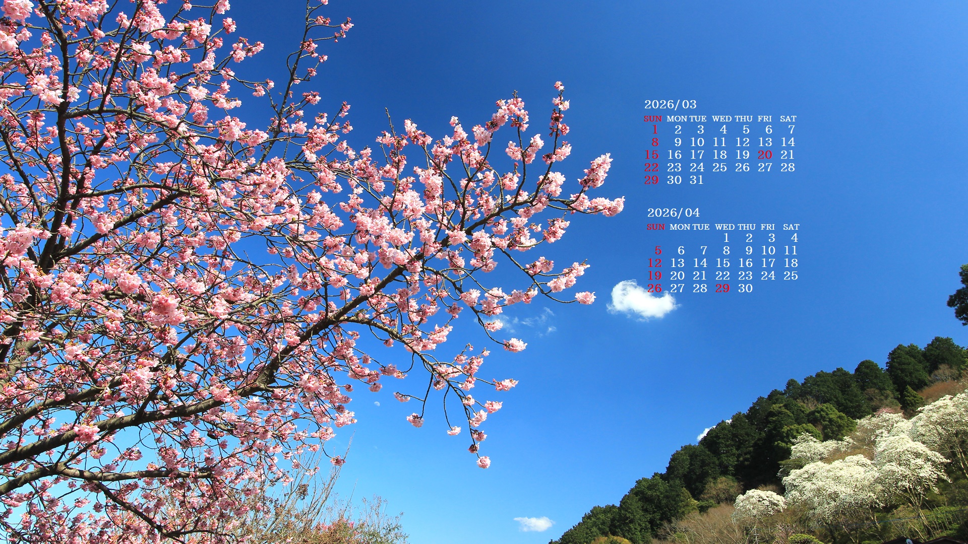 �摜�̏�ŉE�N���b�N���āu�ǎ��ɐݒ�v�A���j���[�ɂȂ��ꍇ�͂�������摜��ۑ����ĉ������B