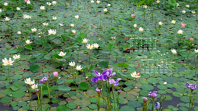 2025N7J_[ǎ005