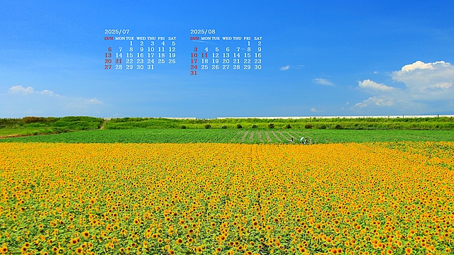 2025N7J_[ǎ010
