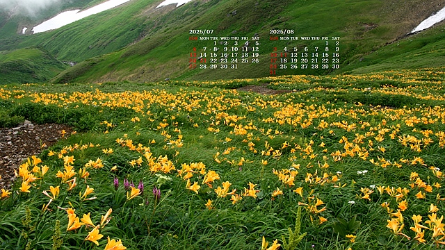 2025N7J_[ǎ013