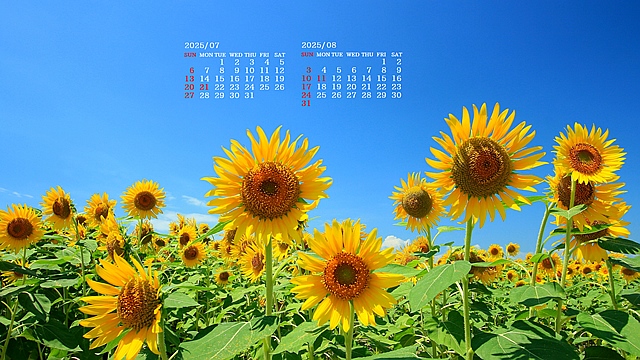 2025N7J_[ǎ023