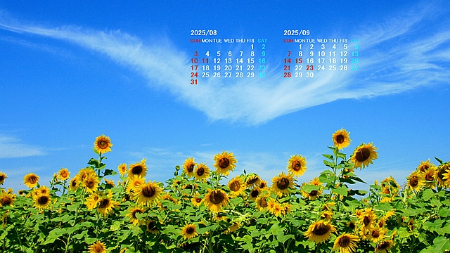 202508014.jpg