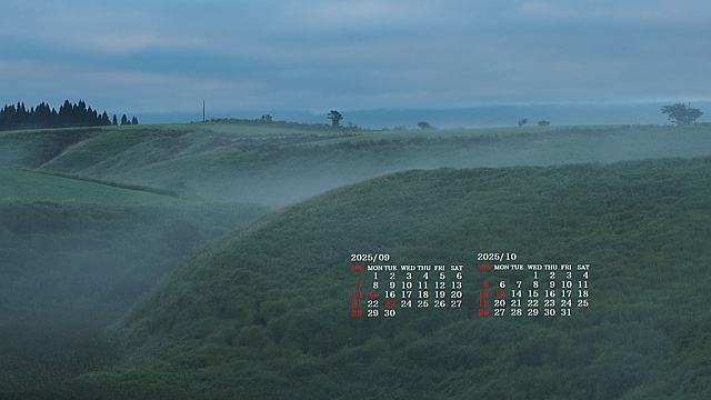 202509017.jpg