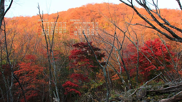 2025�N12�������J�����_�[�ǎ�022