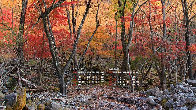 2025�N12�������J�����_�[�ǎ�024