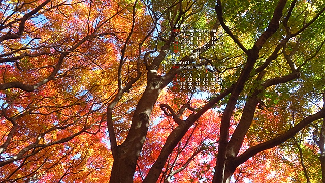 2025�N12�������J�����_�[�ǎ�027