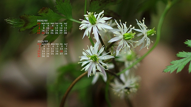 2026�N02�������J�����_�[�ǎ�022