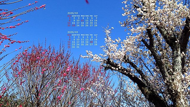 2026�N02�������J�����_�[�ǎ�026