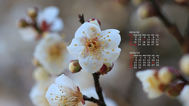 2026�N02�������J�����_�[�ǎ�027