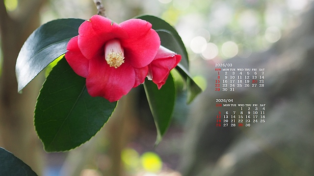 2026�N03�������J�����_�[�ǎ�024