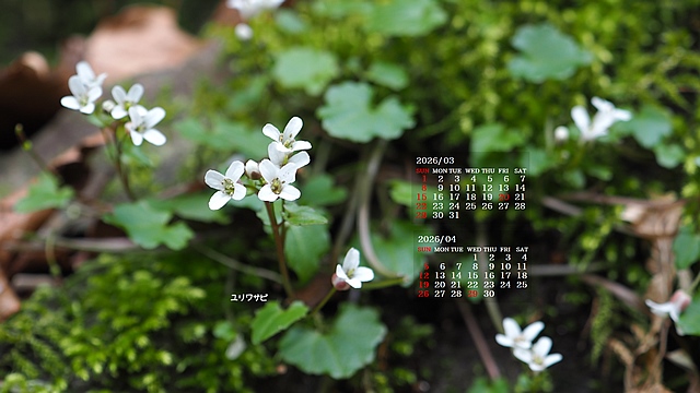 2026�N03�������J�����_�[�ǎ�025